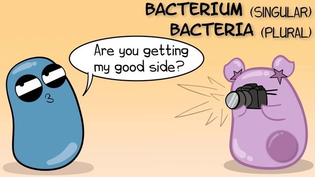 Bacteria (Updated)