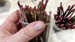 Черенки гортензий запаиваем воском. Зачем? 🤔 В конце привет от Бабая))