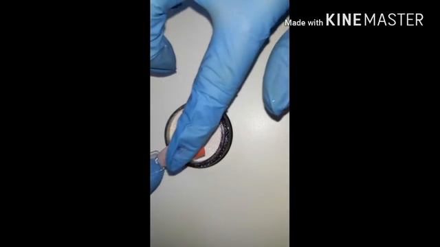 ВЕНЗЕЛЯ! смотреть онлайн