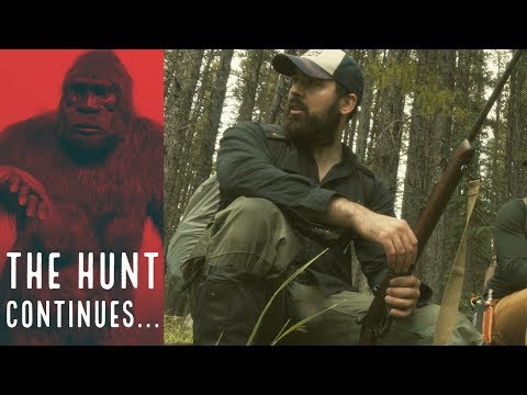LOOKING FOR BIGFOOT