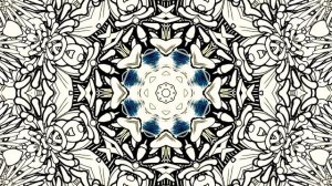 Kaleidoscope Visual Art, Video Black and White Vintage Flowers Art Illustration Kaleidoscope Visual