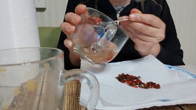 Посадка барбариса семенами. Как добиться оптимальной всхожести? Раскрываю свои секретики. смотреть онлайн