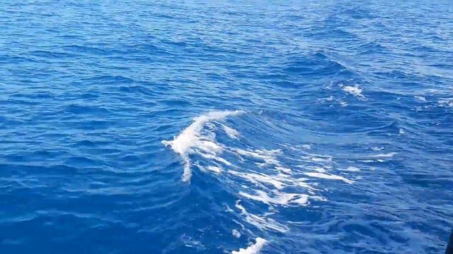 Вьетнам Нячанг 2018(32) смотреть онлайн