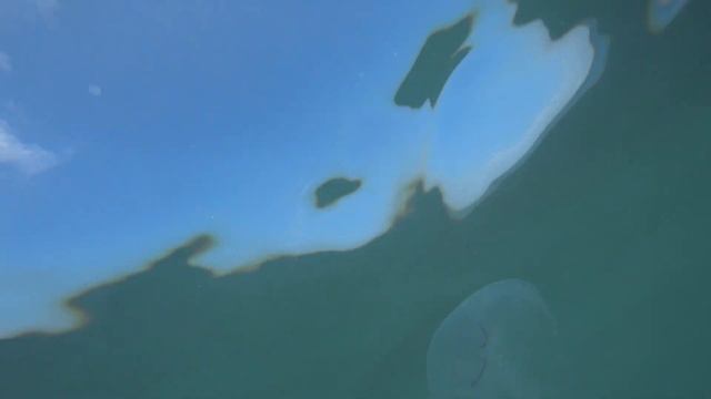 АДЛЕР 2023, 19 ИЮНЯ. КАЙФ, ПОЛНЫЙ ОТРЫВ. ОТДЫХ НА МОРЕ 2023. смотреть онлайн