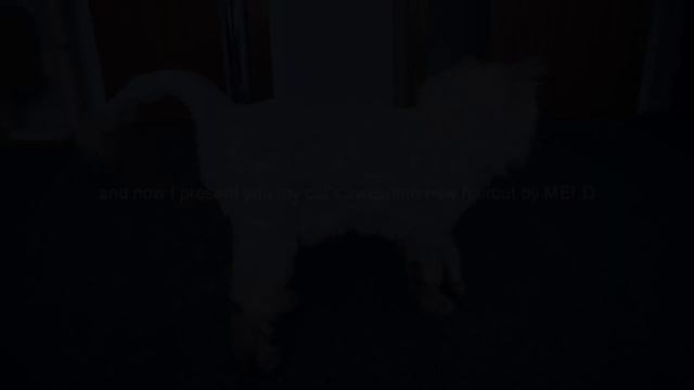 How to Shave a Long Haired Cat at Home смотреть онлайн