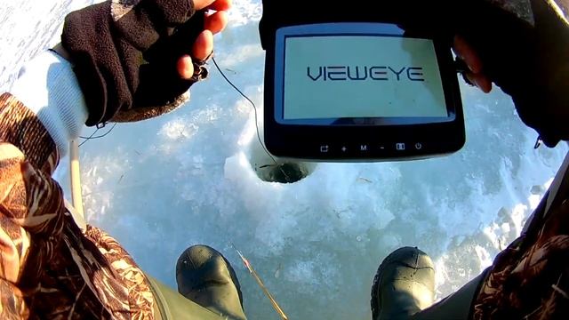 Качество съемки подводной камеры ViewEye смотреть онлайн