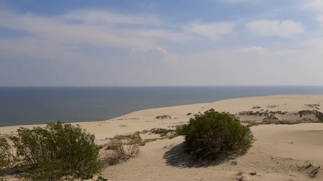 Панорама с дюны Эфа. Куршская коса, июнь 2022 смотреть онлайн