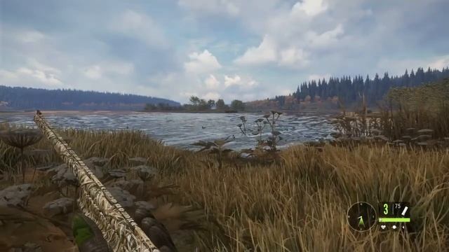 How too hunt duck for free + No Caller!!~ Layton Lake Best Duck Hunting Zones (2022) TheHunter… смотреть онлайн