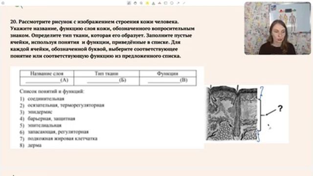 Разбор досрочного варианта ЕГЭ по биологии 2020! Задача на летальный ген смотреть онлайн