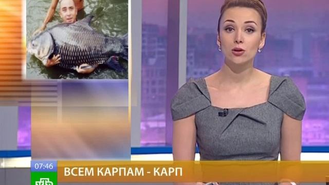 Французы поймали самого большого карпа в мире смотреть онлайн