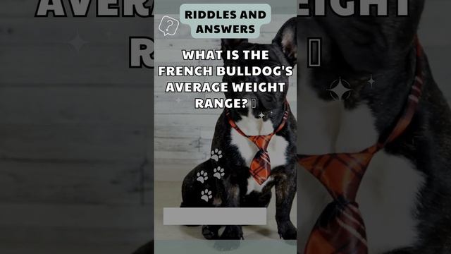 "🐕 Pawsome Puzzles: Can You Solve These Dog Riddles?" смотреть онлайн