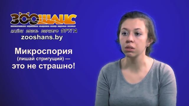 Рассказ о микроспории (стригущем лишае) у котов смотреть онлайн