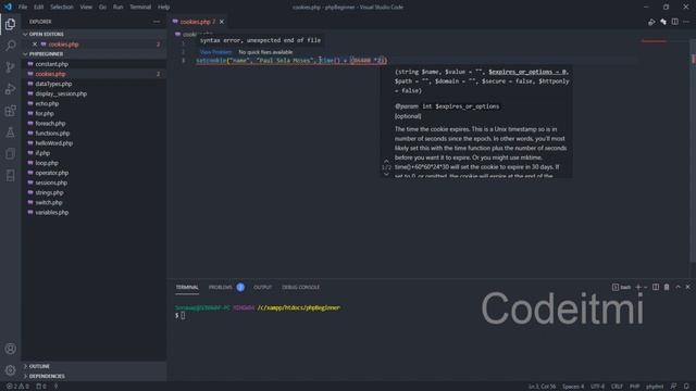 PHP Tutorial for Beginners 15 - Cookies смотреть онлайн