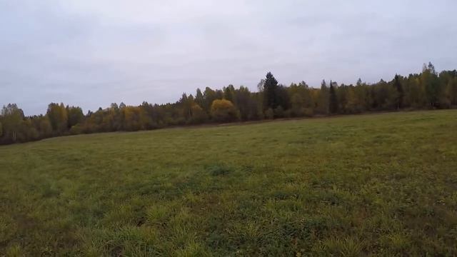 охота на реву 2021 как манить лося смотреть онлайн