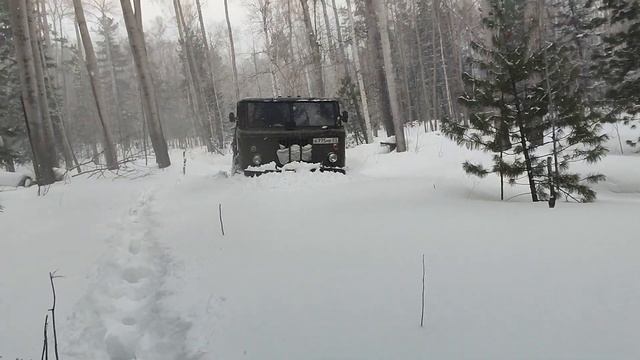 Шишига  по снегу