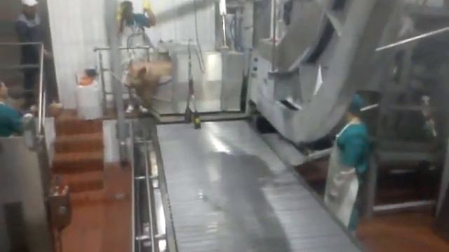 Рабство в Гагарин-Останкино.