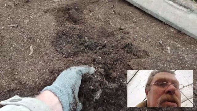 Компост из птичьего помета. Утилизация птичьего помета. 03.11.2021 смотреть онлайн