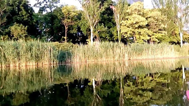 Донецк, река Кальмиус 2017 смотреть онлайн