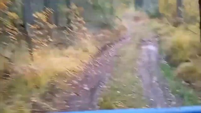 мотогрузовичëк и осенний лес. смотреть онлайн