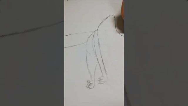 , как нарисовать льва смотреть онлайн