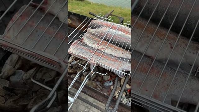 Bo$ton рыбалка на Святом озере #shorts смотреть онлайн