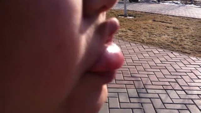 лошадка:DD смотреть онлайн