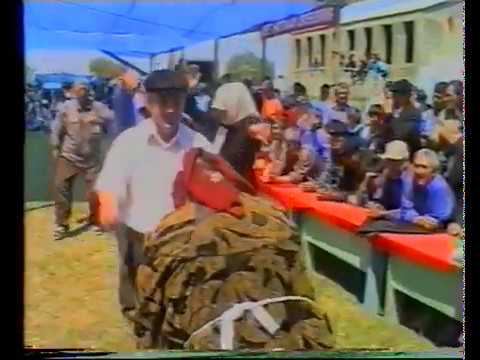 Насрула Расулов - на 15 турнире по в/б памяти м/с СССР Ш. Нажмудинова в с. Караузек 23 мая 2004 г. смотреть онлайн