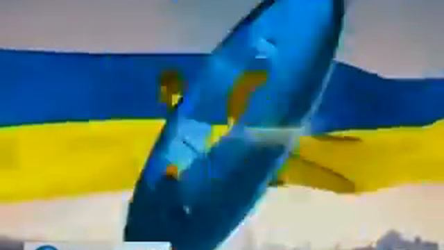 Лучшие звезды поздравляют Украину - День рождения стра смотреть онлайн