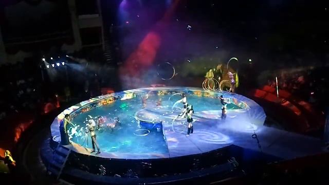 Цирк на воде в Санкт-Петербурге 1 смотреть онлайн