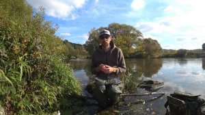 ТОП 5 убойных БЮДЖЕТНЫХ воблеров (stickbait) на ЖЕРЕХА