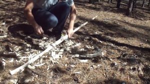 Примитивный Лук из березы