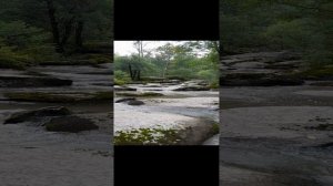 Белокуриха