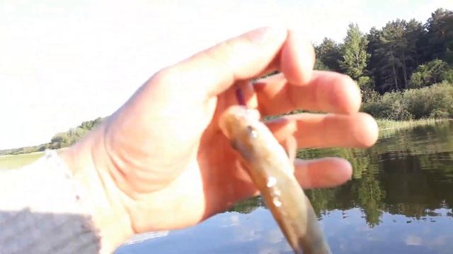 Открытие с приманками RVR - ловля щуки и окуня с лодки на спиннинг смотреть онлайн
