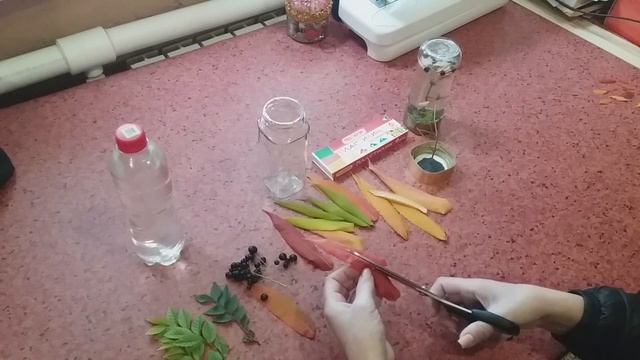 Мастер-класс - Подарок для бабушки и дедушки смотреть онлайн