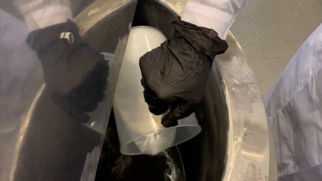 Новая серия - «Крымская Жемчужина»! смотреть онлайн