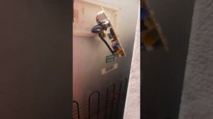 Холодильник Beko перестал работать экран на дверце и не морозит!!! ПРИЧИНА ИЗВЕСТНА!!!
