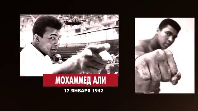 История БОКСА 17 января смотреть онлайн