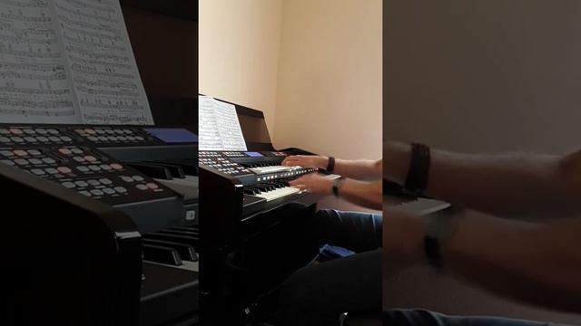 "Stardust" (Jazzy Ballad Organ Cover) Orla Ringway RS 600 EU Organ смотреть онлайн