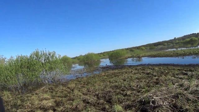 УТИНАЯ ОХОТА.ВЕСНА 2023. ОТЛИЧНЫЙ ДЕНЬ. ИЖ-54 смотреть онлайн