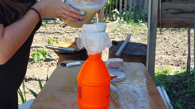 Как избавиться от тли на смородине, если уже есть ягоды смотреть онлайн