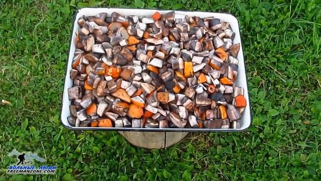 Бизнес-Советы и Инструкции