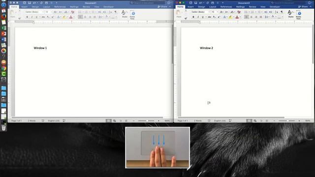 Mac Keyboard Shortcuts MacOS X High Sierra - Switch Between Windows With App Expose - 7 of 17 Tips смотреть онлайн
