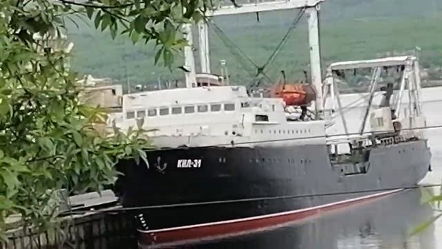 Утро выдалось добрым. смотреть онлайн