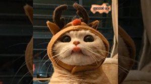 GAVRILINA - завьюжело замело (speed up)