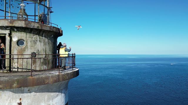 DJI_0172 смотреть онлайн