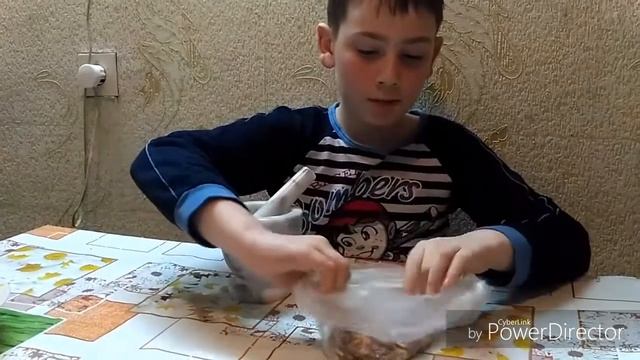 Домашняя кухня
