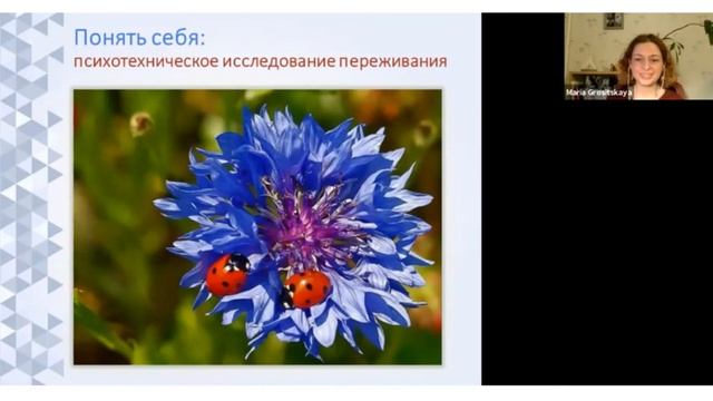День открытых дверей АППТ 20.04.2020 смотреть онлайн