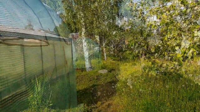 В гостях у друзей🌿 Саблино 🌿 07.06.2022 года🌿 смотреть онлайн