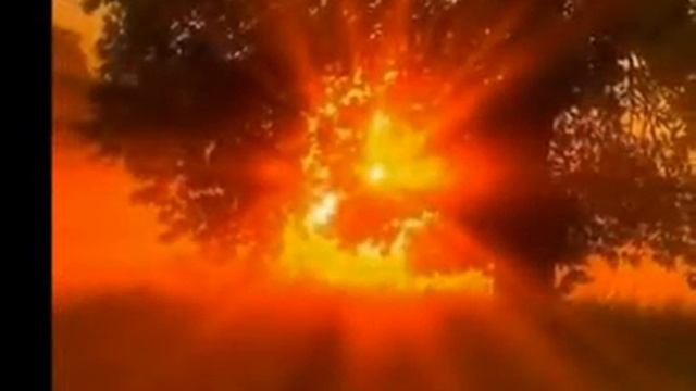 поль мориа смотреть онлайн