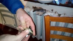 Как Правильно закрутить пробку в чугунного радиатора чтобы не текло и без поломки радиатора